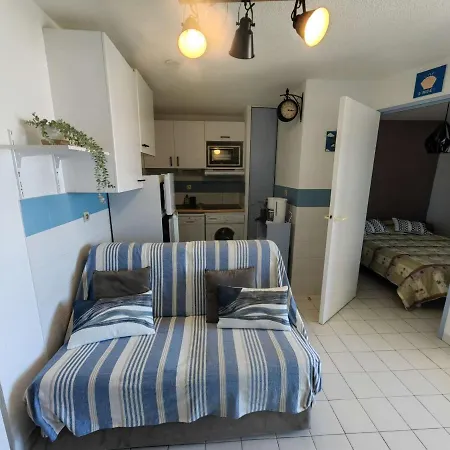 T2 Climatisé Proche Avec Piscine Et Parking - Fr-1-607-152 Agde