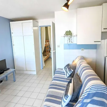 Appartamento T2 Climatisé Proche Avec Piscine Et Parking - Fr-1-607-152 Agde